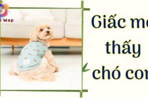 Mơ thấy chó con: Điềm báo tốt đẹp và những con số thú vị
