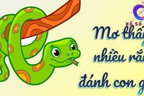 Mơ thấy nhiều rắn đánh con gì? Đánh số nào may mắn