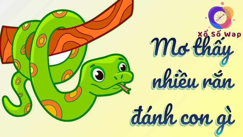 Mơ thấy nhiều rắn đánh con gì? Đánh số nào may mắn