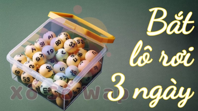 Bắt lô rơi 3 ngày về lộn