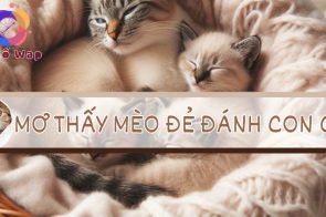 Mơ thấy mèo đẻ đánh con gì? Giải mã điềm báo của giấc mơ