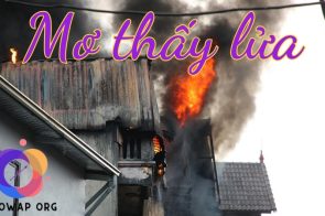 Mơ thấy lửa đánh con gì, số mấy? Bí ẩn giấc mơ về lửa