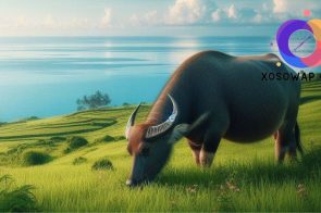 Con trâu số mấy? Nằm mơ thấy con trâu có ý nghĩa gì?