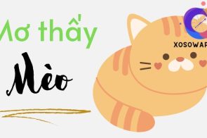 Nằm ngủ mơ thấy mèo đánh con gì? Con mèo số mấy?