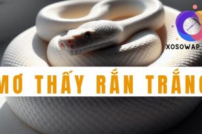 Mơ thấy rắn trắng đánh con gì? Giải mã ý nghĩa giấc mơ