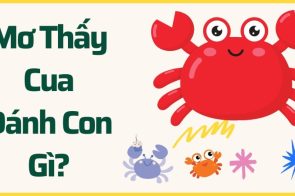 Ý nghĩa giấc mơ thấy cua là gì? Đánh con số nào trúng lớn?