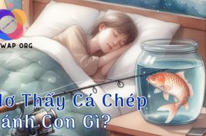 Nằm mơ thấy cá chép đánh con đề gì dễ trúng số nhất?
