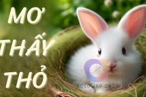 Mơ thấy thỏ đánh con gì? Giải mã chi tiết giấc mơ thấy thỏ