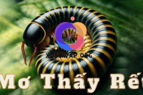 Hé lộ ý nghĩa giấc mơ thấy rết và các con số trúng lớn