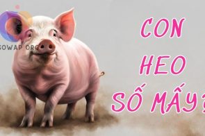 Con heo số mấy? Nằm mơ thấy con heo đánh số đề nào?