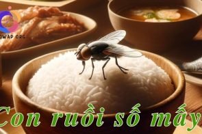 Con ruồi số mấy? Giải mã ý nghĩa con ruồi trong giấc mơ