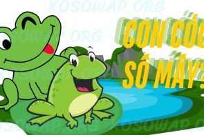 Con cóc số mấy? Giải mã ý nghĩa từ giấc mơ thấy con cóc