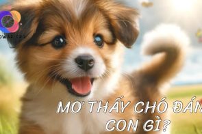Mơ thấy chó là điềm báo gì? Đánh đề con gì, số mấy ăn thông