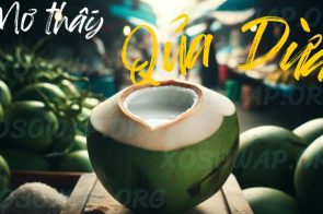Mơ thấy quả dừa có sao không? Đánh con gì số mấy ăn thông?