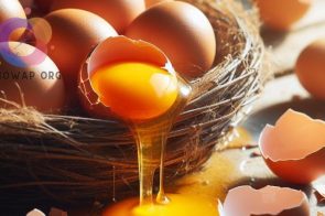 Mơ thấy trứng gà đánh con gì? Bí kíp soi cầu may mắn